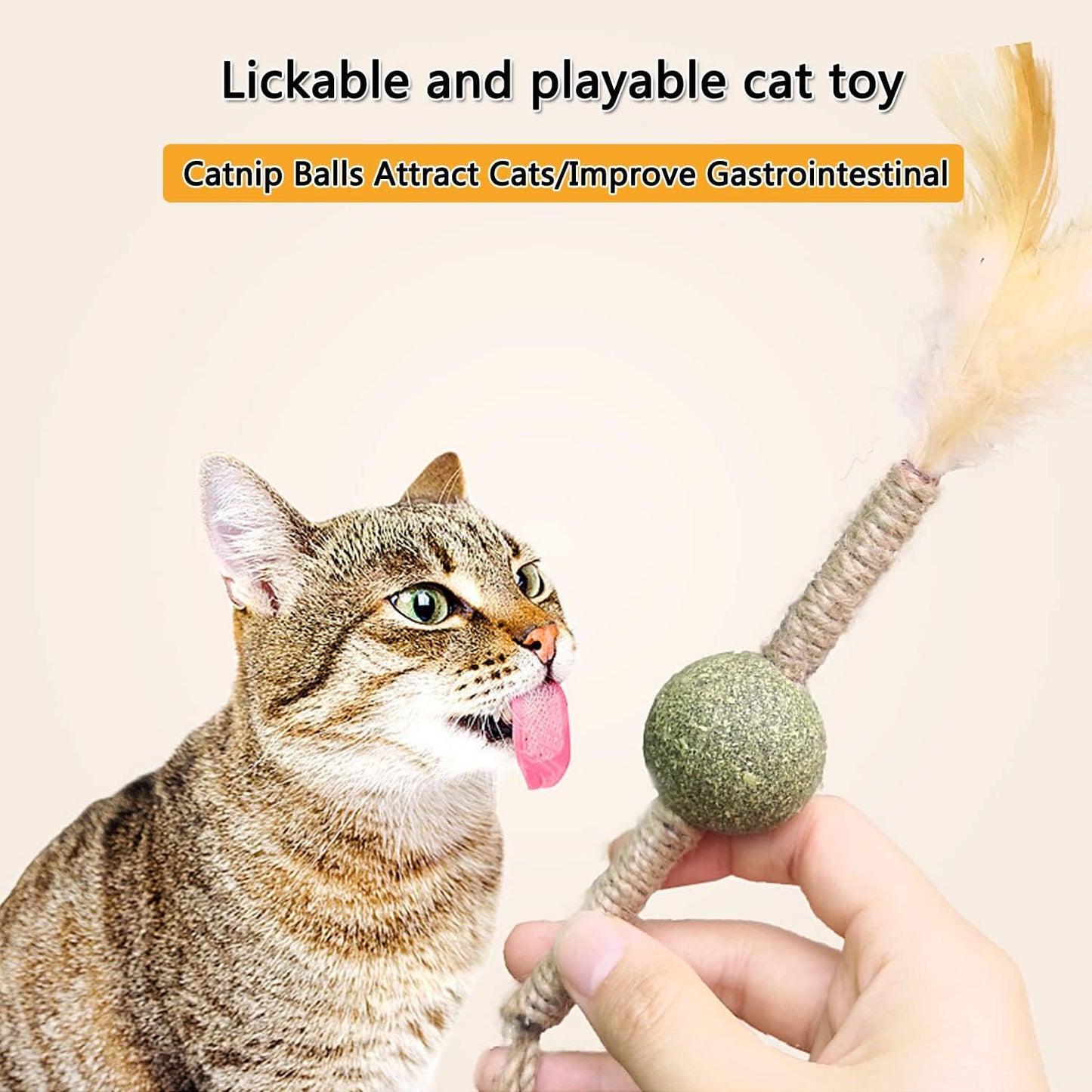 Catnip de juguete para gatos