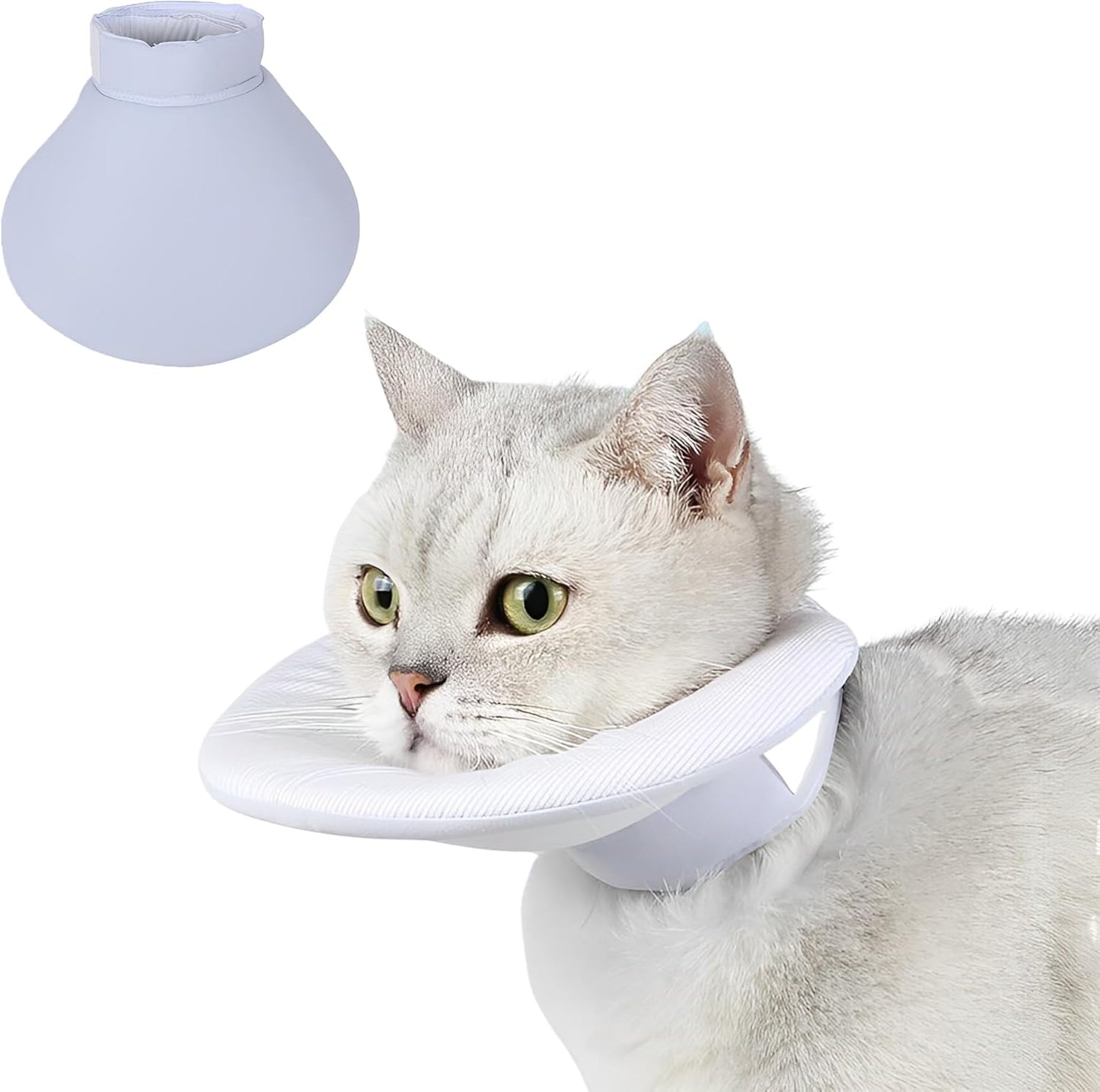 Cono isabelino de recuperación para gatos suave