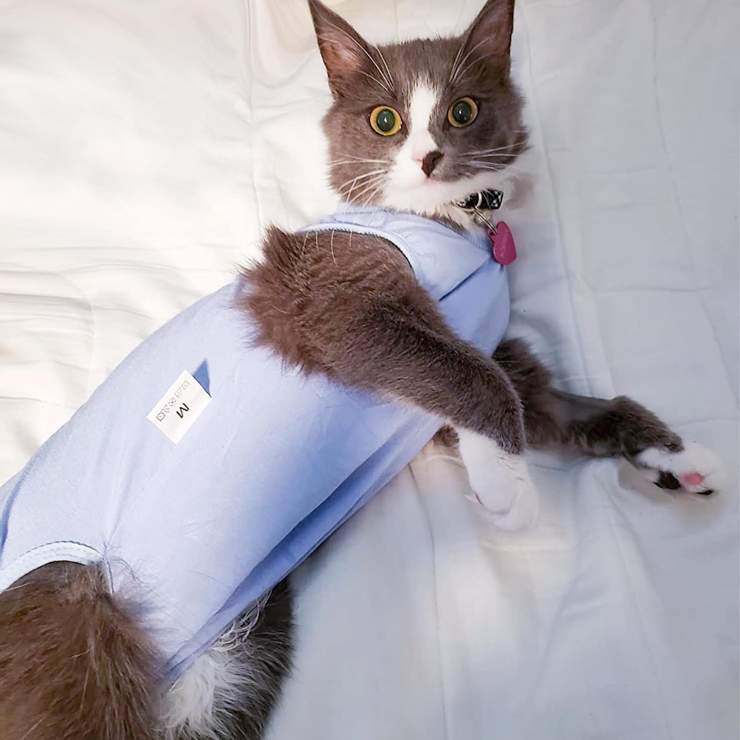 Traje de recuperación de cirugías y heridas para gatos