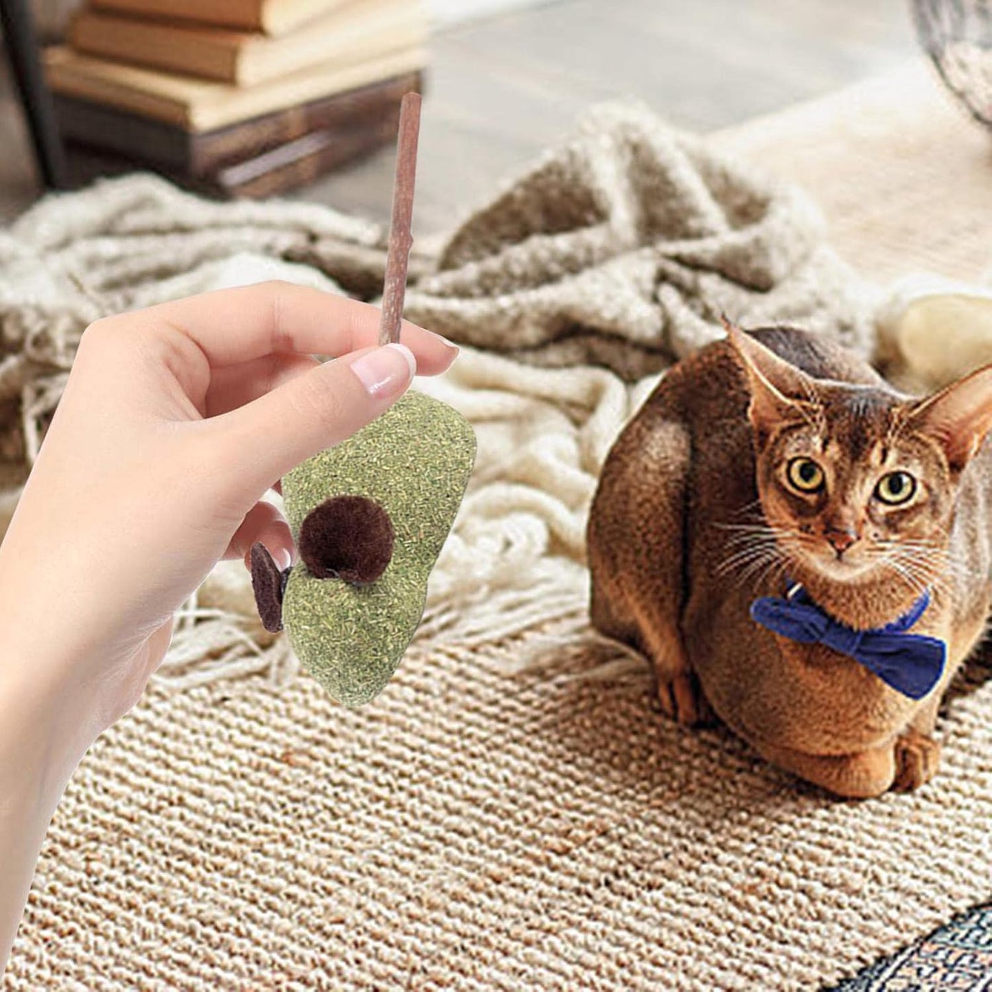 Ratón de catnip para gatos