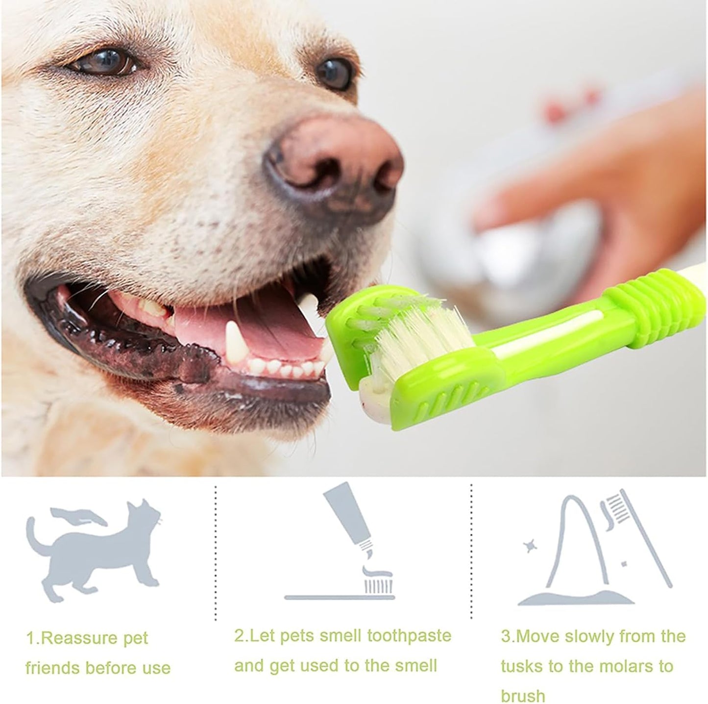 Kit de Cepillado de Pasta de Dientes para Perro
