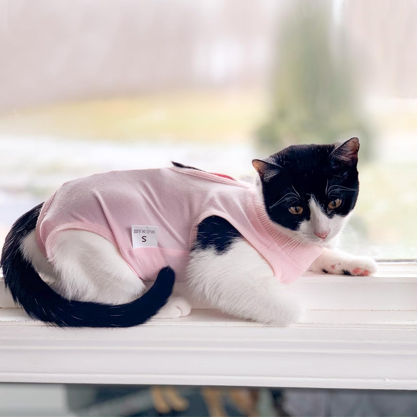 Traje de recuperación de cirugías y heridas para gatos