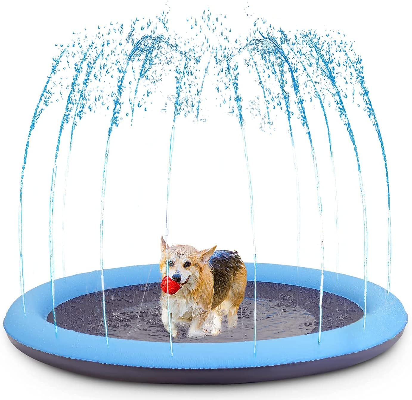 Piscina inflable de splash para perros