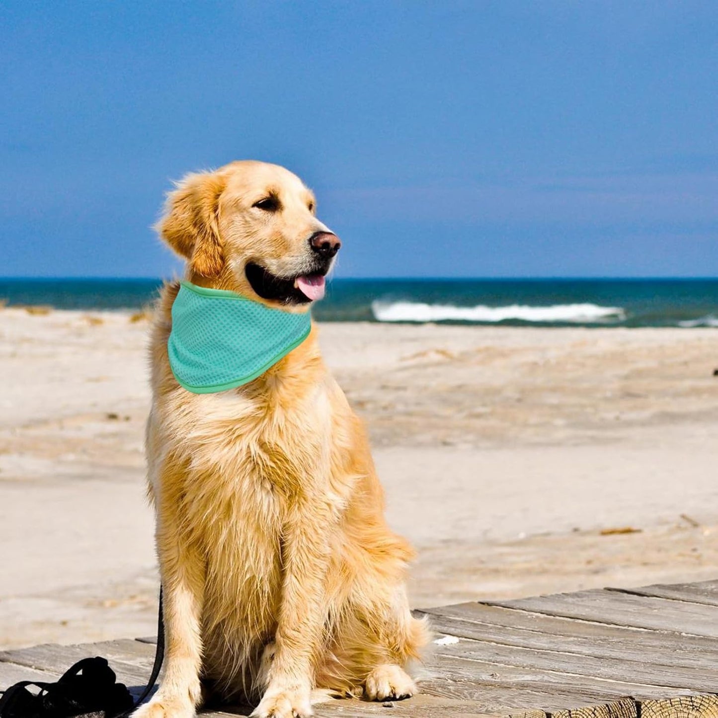 Bandana enfriante para perros