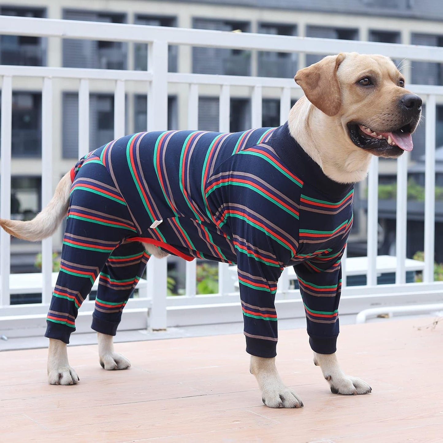 Traje postoperatorio para perros de manga larga