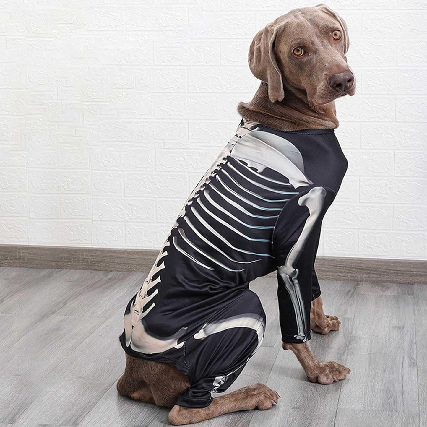 Disfraz de esqueleto para Halloween