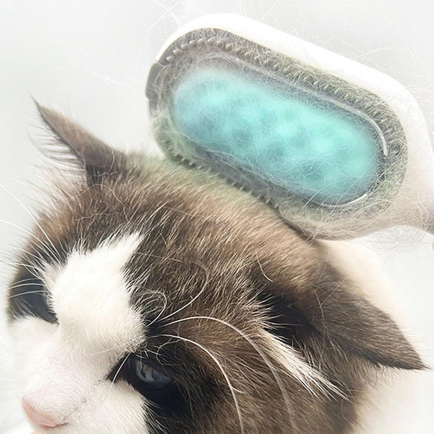 Cepillo removedor de pelo con wipes