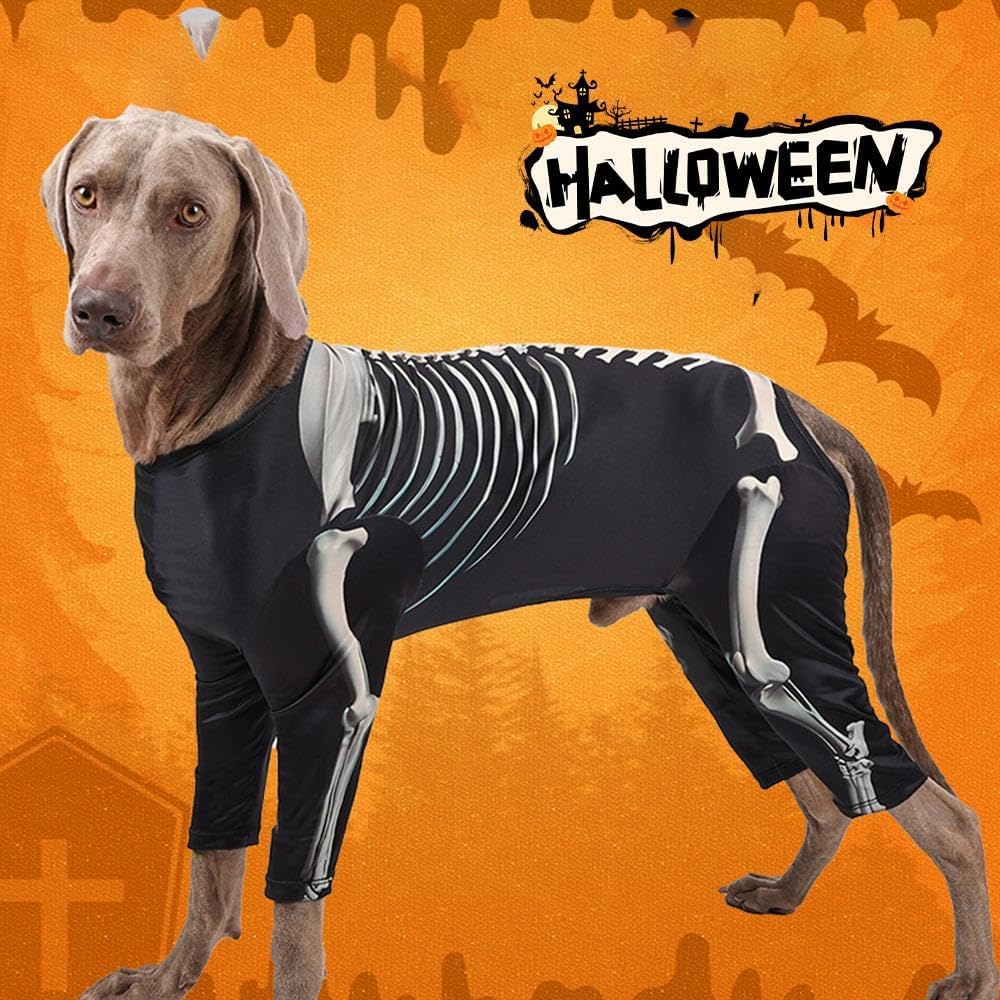 Disfraz de esqueleto para Halloween
