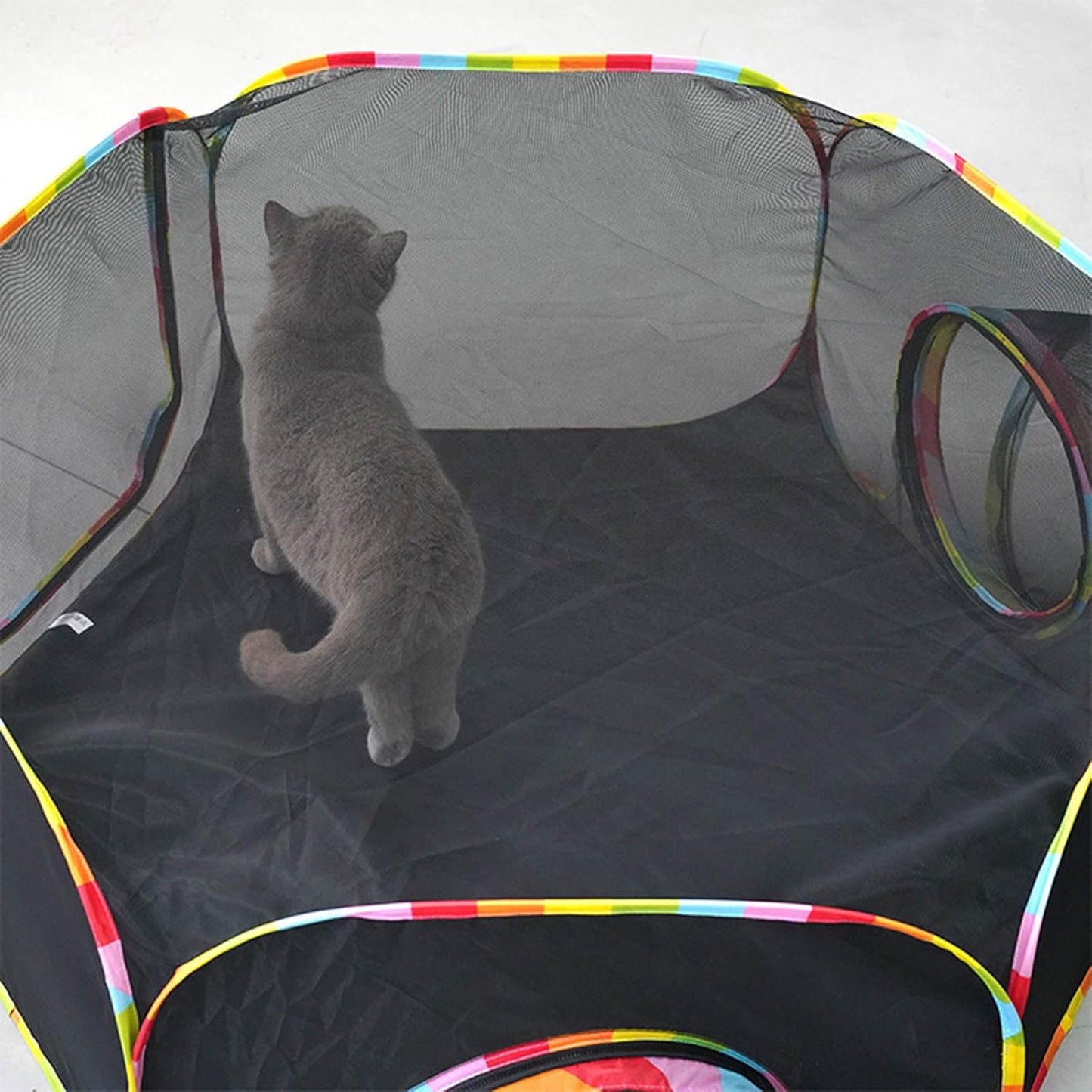 Túnel de tubo plegable para Gato