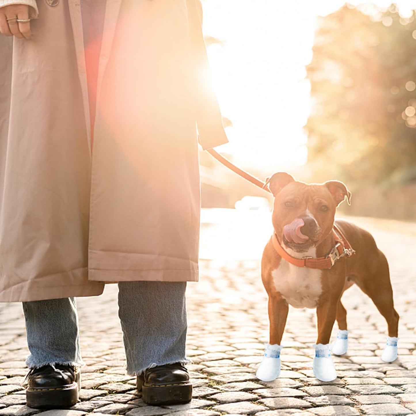 Zapatos desechables impermeables para perro (20 u)