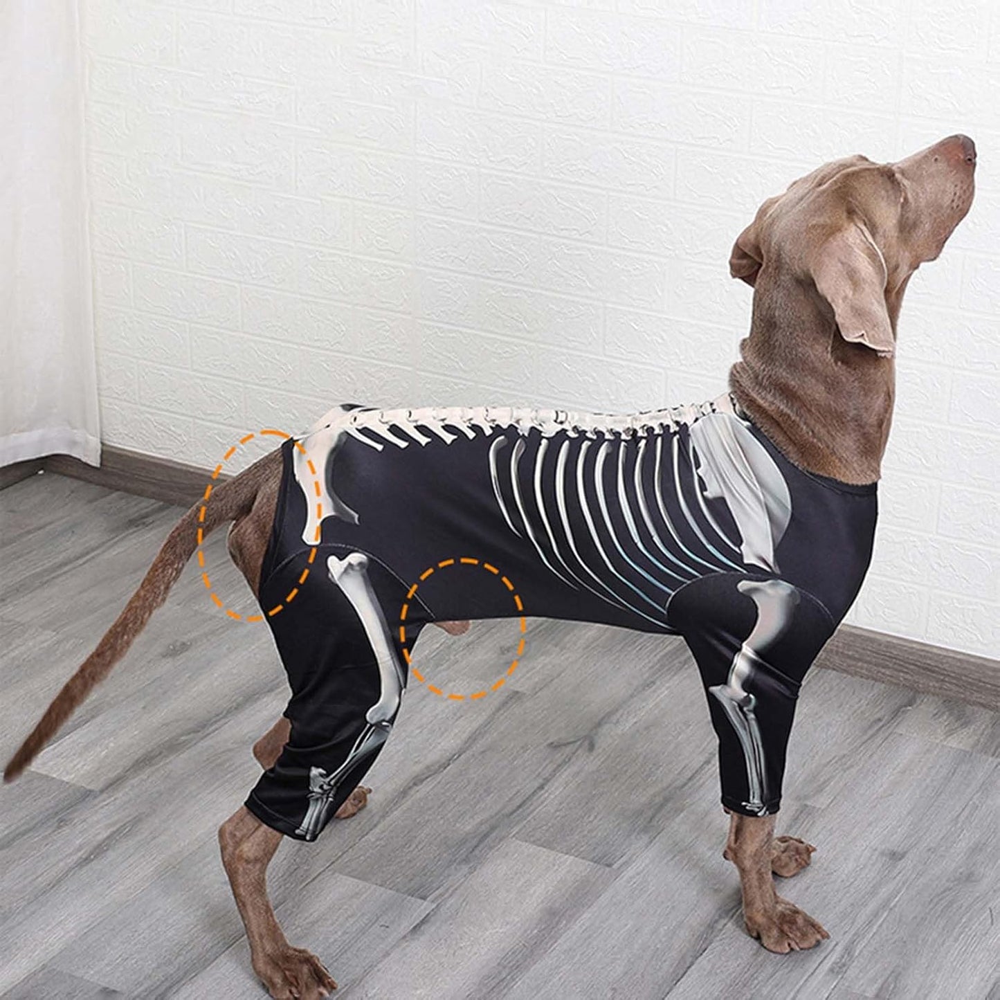 Disfraz de esqueleto para Halloween