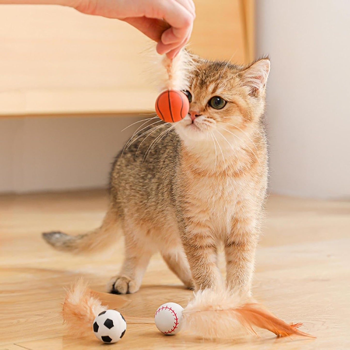 Juguete pelota de goma con pluma (Modelo variados)