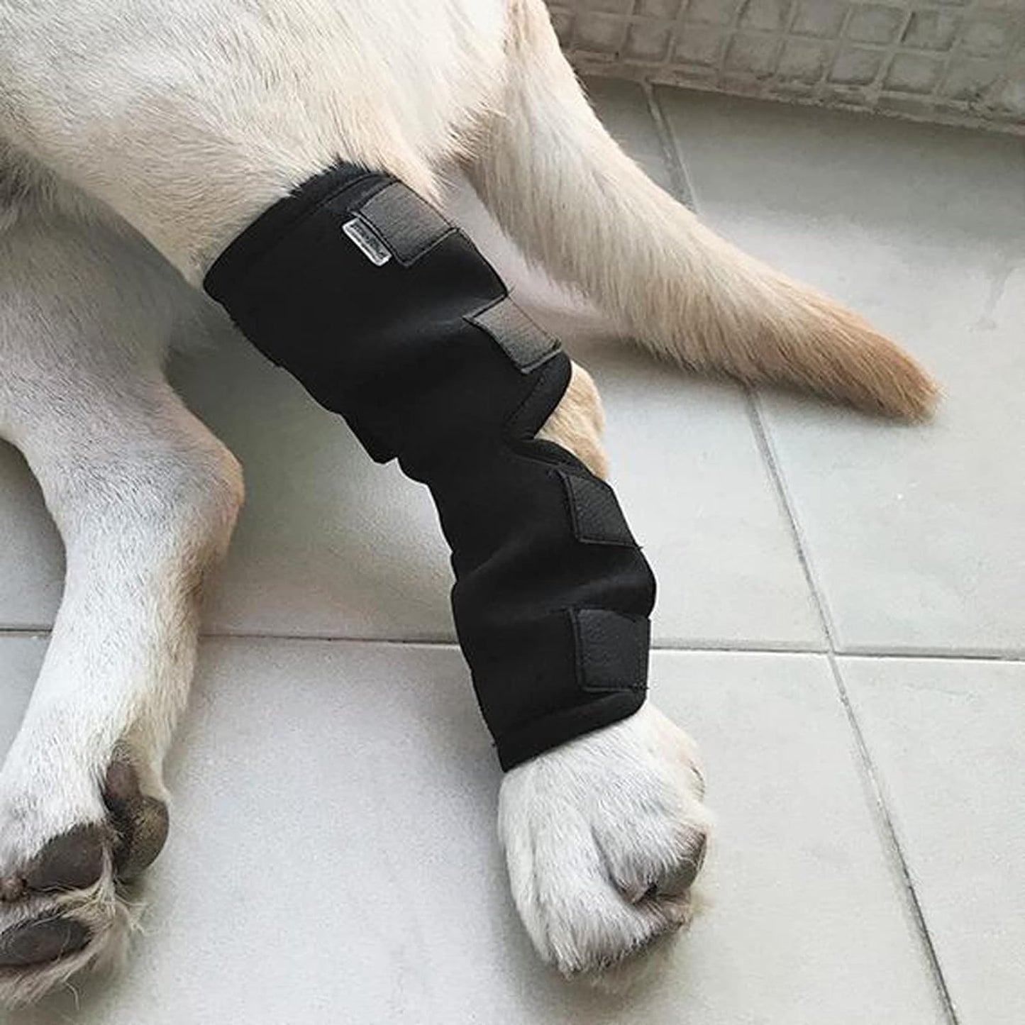 Vendaje de soporte de patas para mascotas