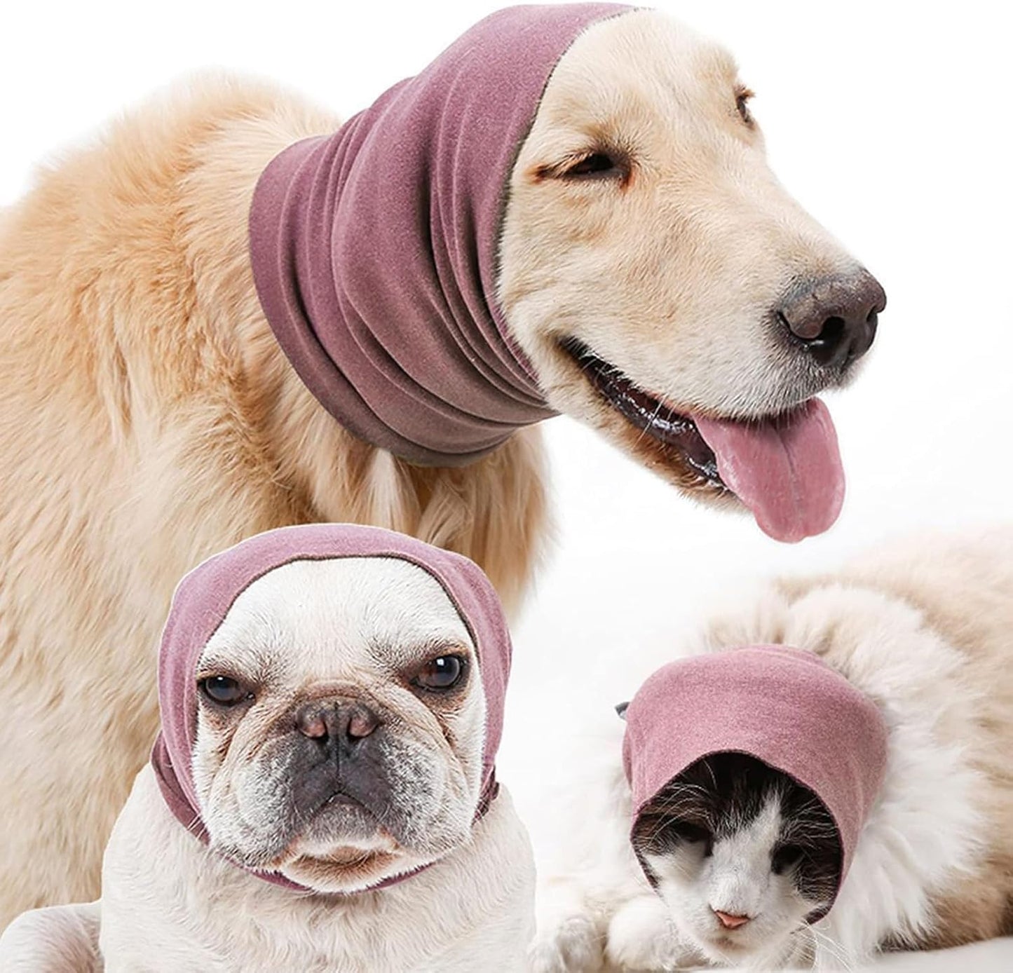 Tapa orejas terapéuticos para mascotas (Protector de oreja) #2