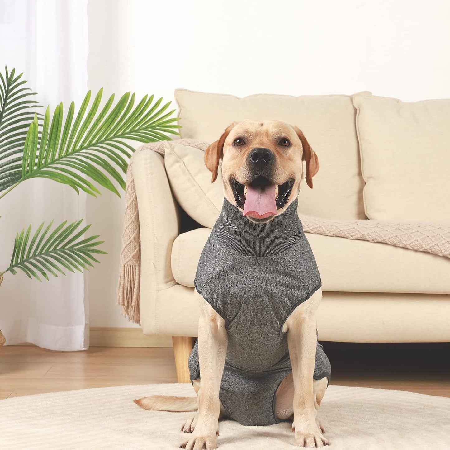 Traje post operación o hembras en celo para perros medianos y grandes