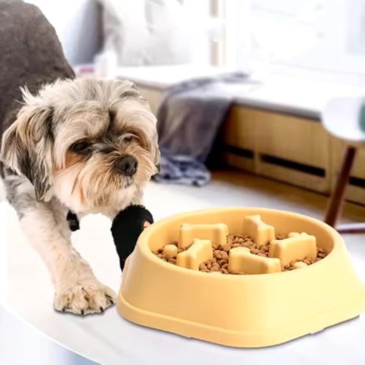 Plato de comedero lento para mascotas