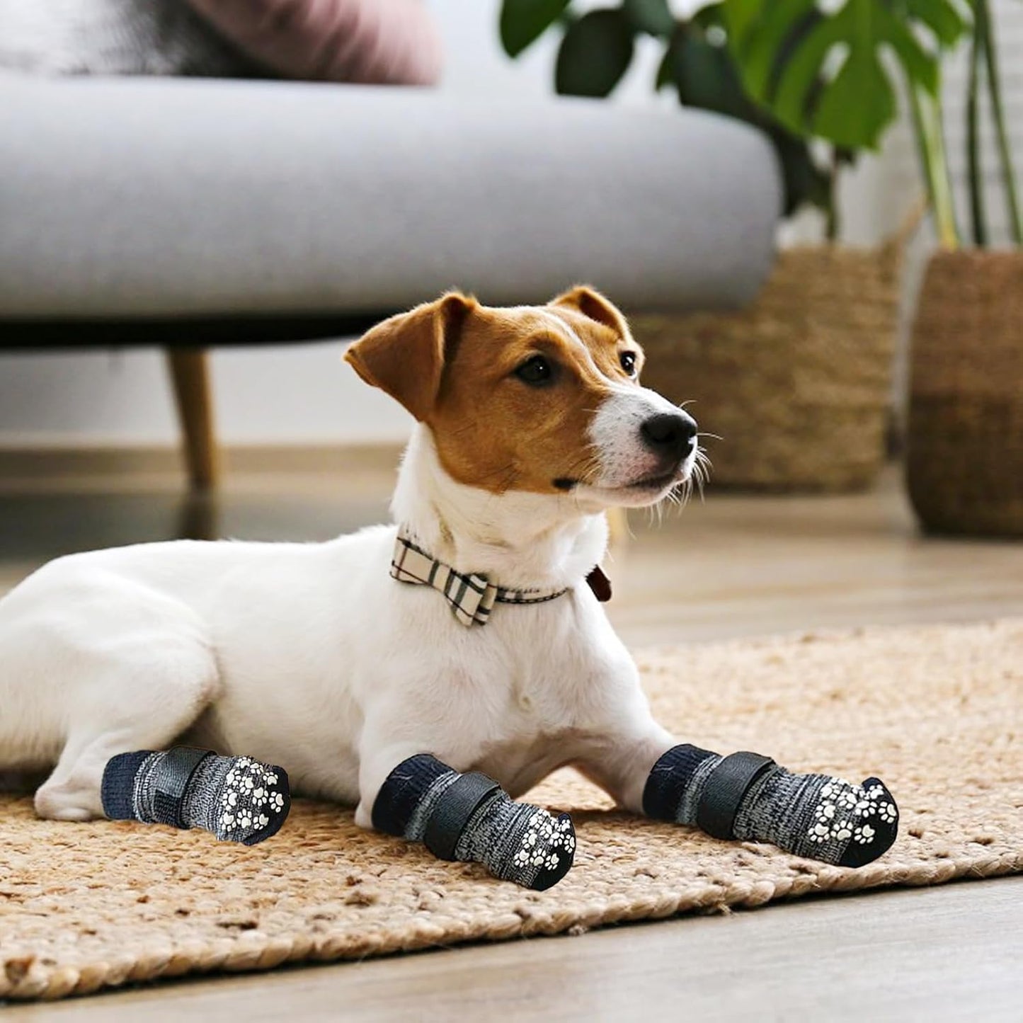 Medias antideslizante y impermeables para perros