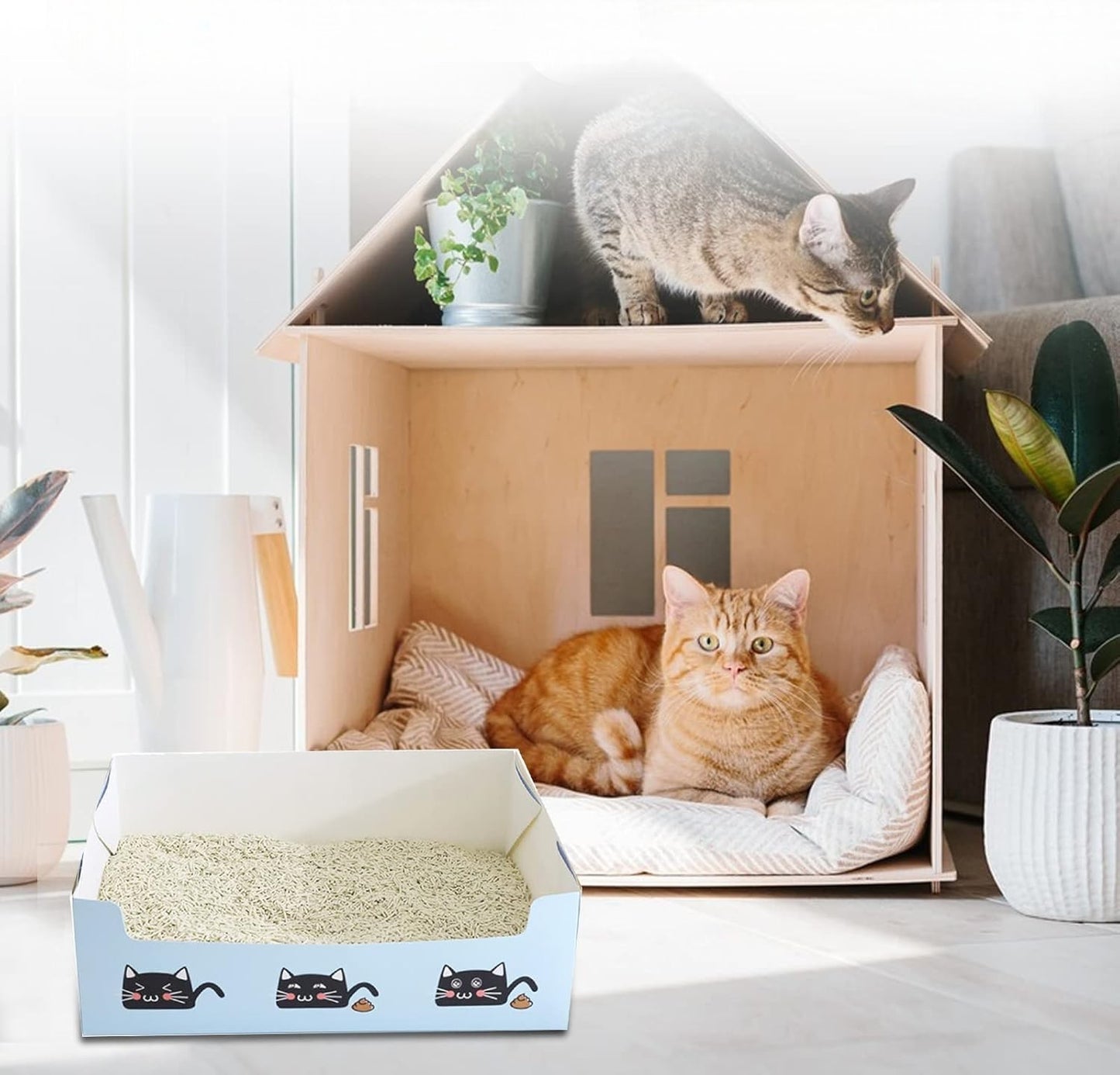 Arenero desechable de cartón para gato
