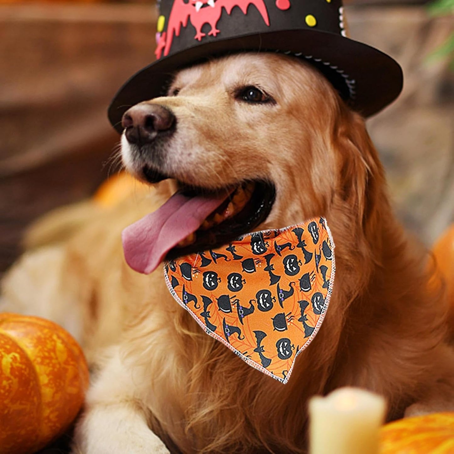 Bandana de Halloween para mascotas