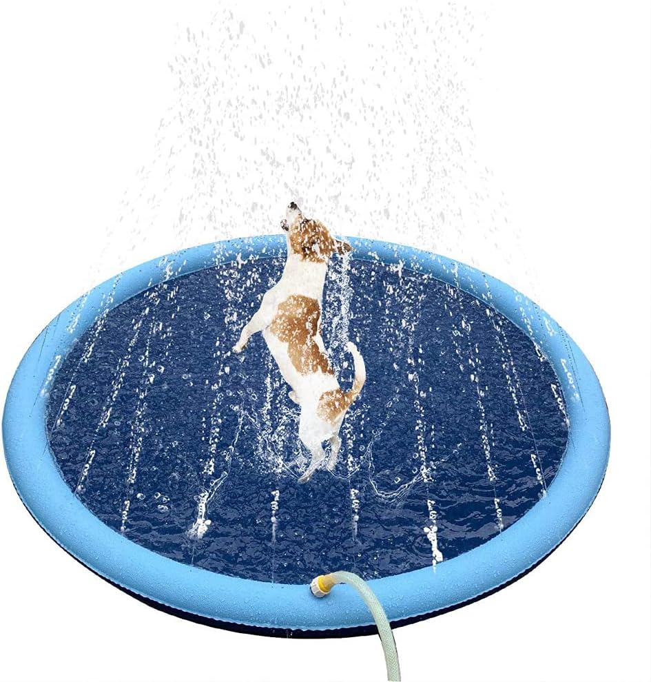 Piscina inflable de splash para perros