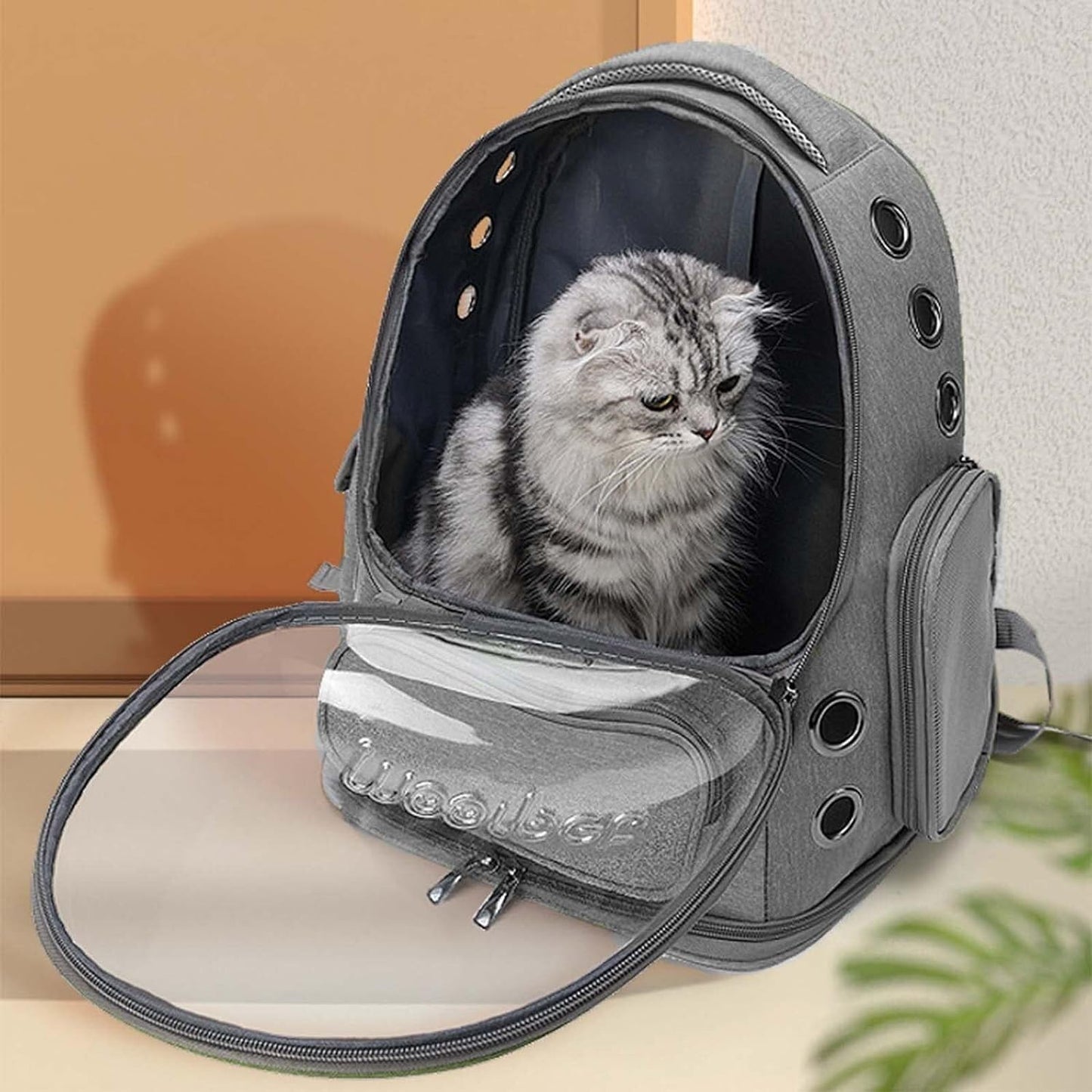 Mochila burbuja transportadora para perros y gatos