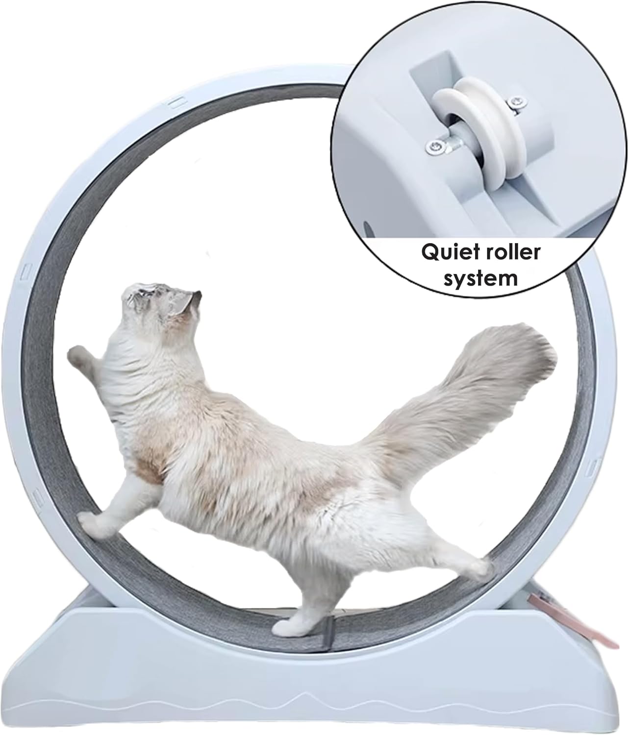 Rueda rascador para gato