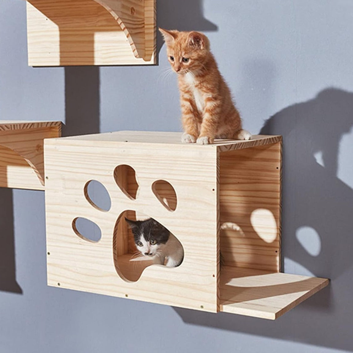 Villa de Gato para pared (Modelo-C)