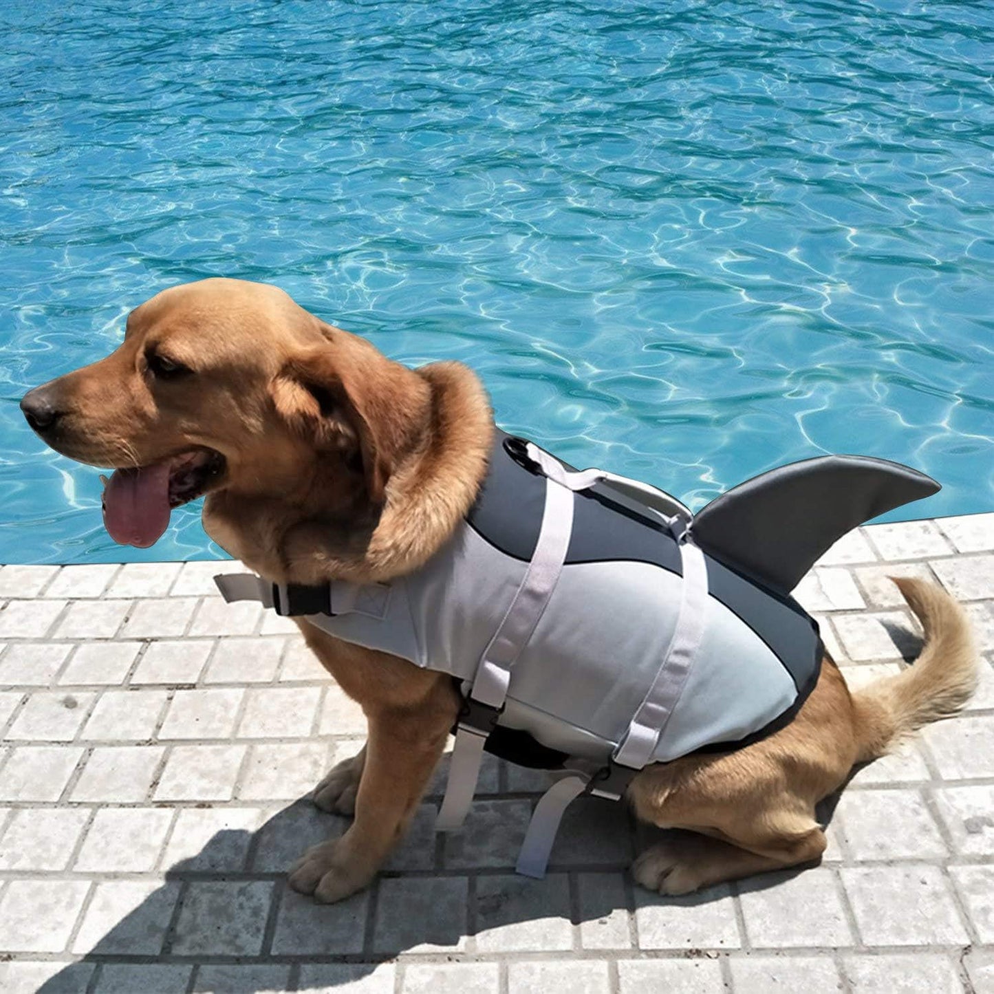 Chaleco salvavidas para mascotas modelo (Flotador) #1