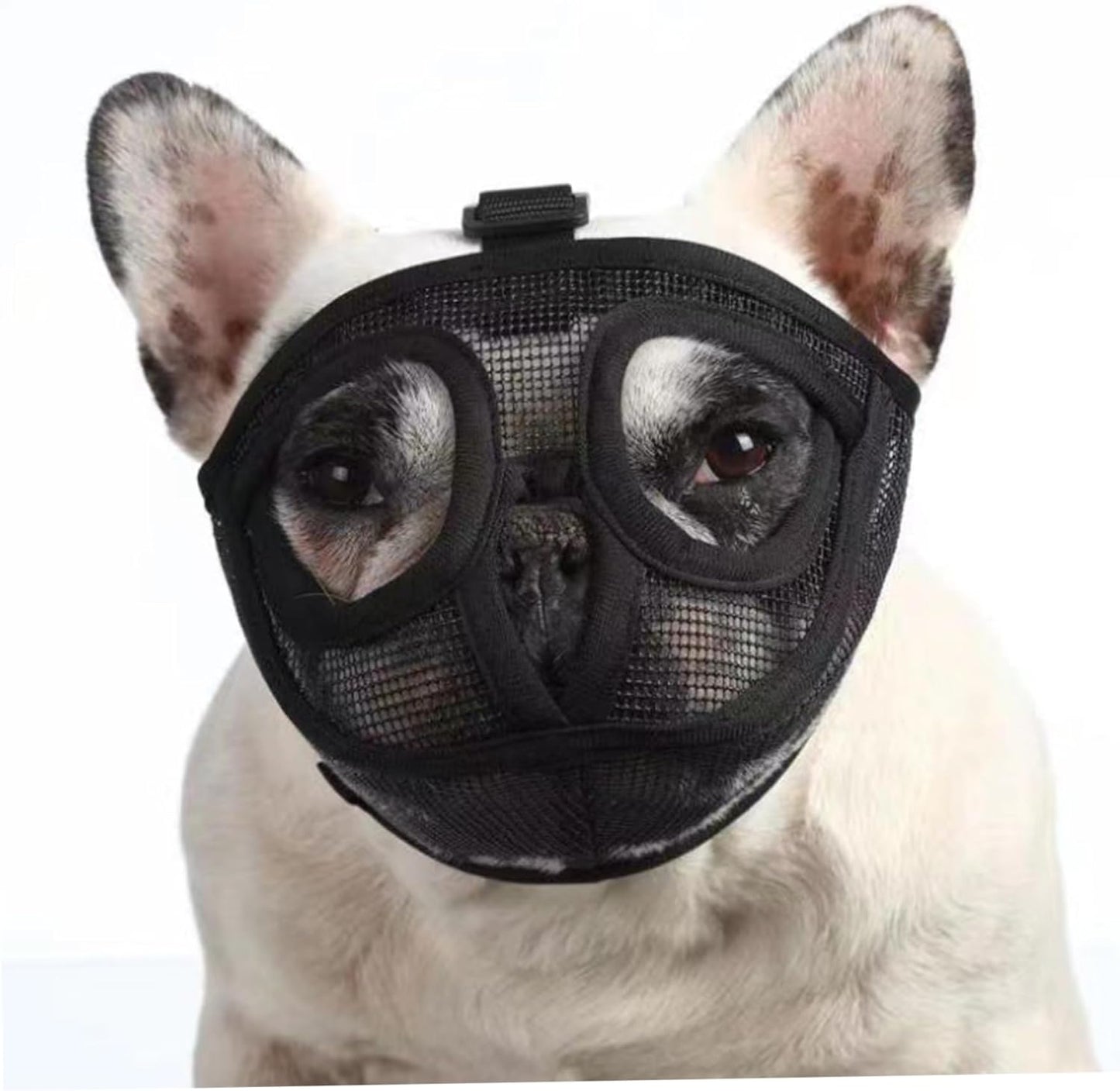 Bozal para perros nariz plana