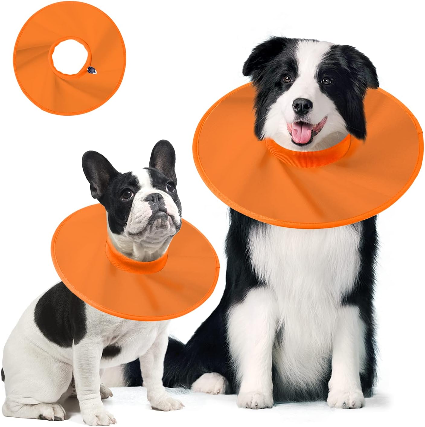 Collar Isabelino de tela impermeable para perros
