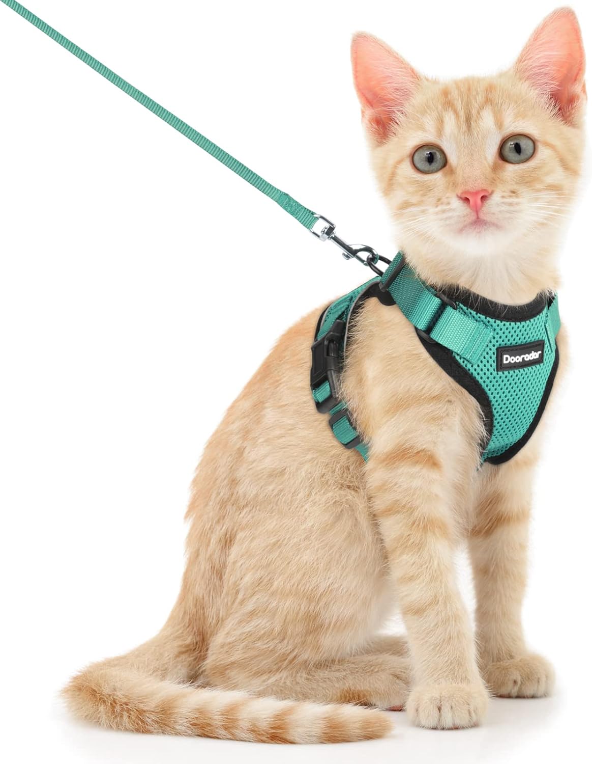 Pechera transpirable para gatos con correa