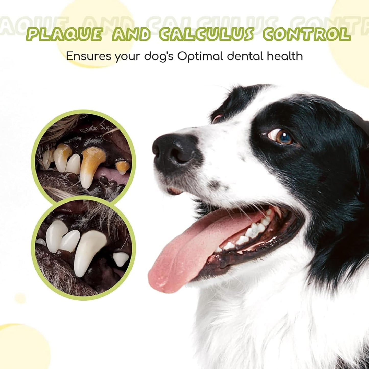 Kit de Cepillado de Pasta de Dientes para Perro