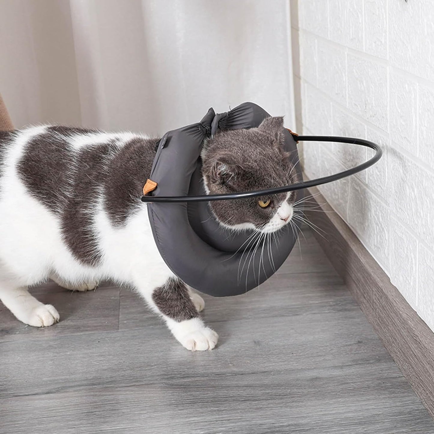 Arnés anti-choques para mascotas ciegas