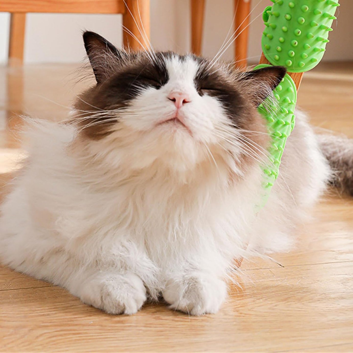 Cepillo rascador para gatos
