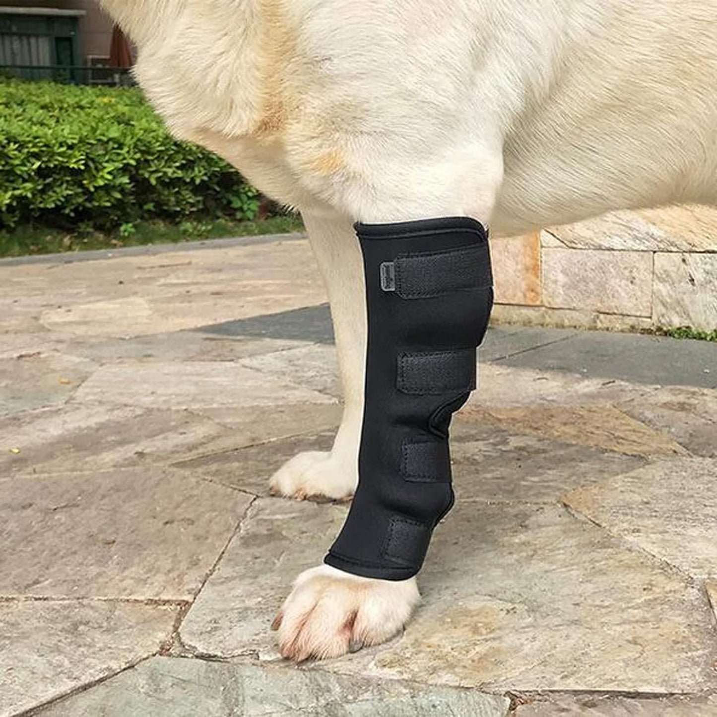 Vendaje de soporte de patas para mascotas