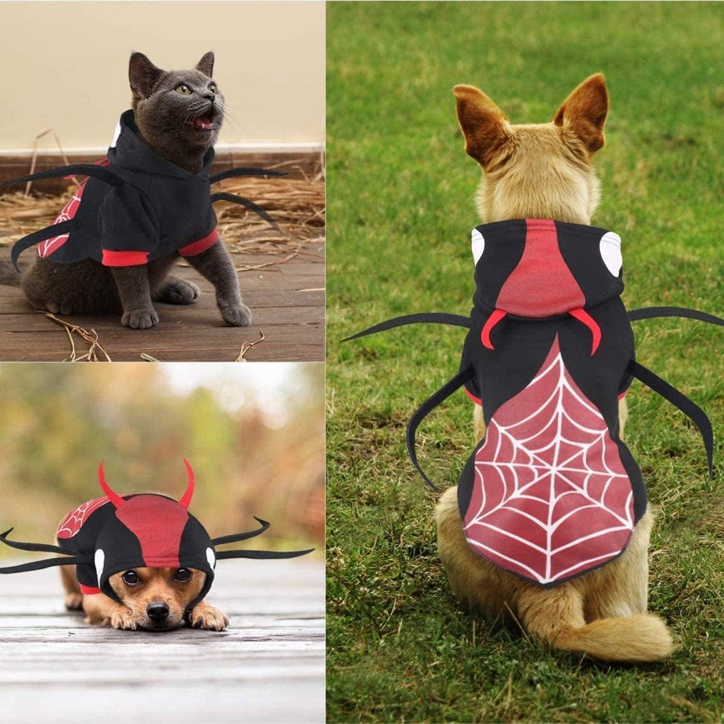 Disfraz de Halloween de araña para mascotas