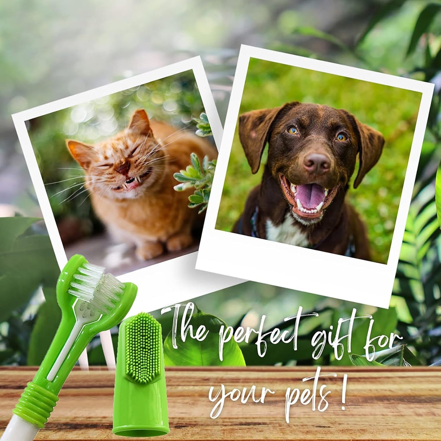 Kit de Cepillado de Pasta de Dientes para Perro