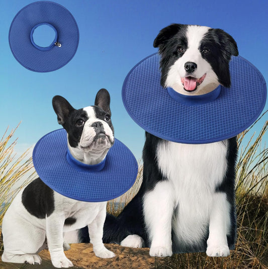 Collar Isabelino de tela impermeable para perros