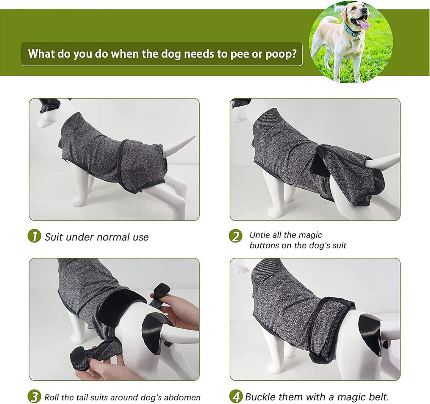 Traje post operación o hembras en celo para perros medianos y grandes