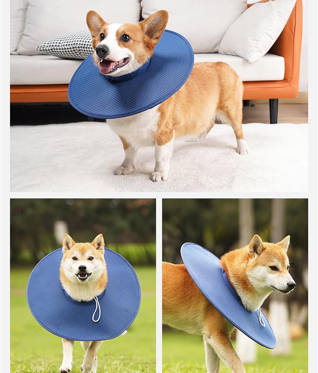 Collar Isabelino de tela impermeable para perros