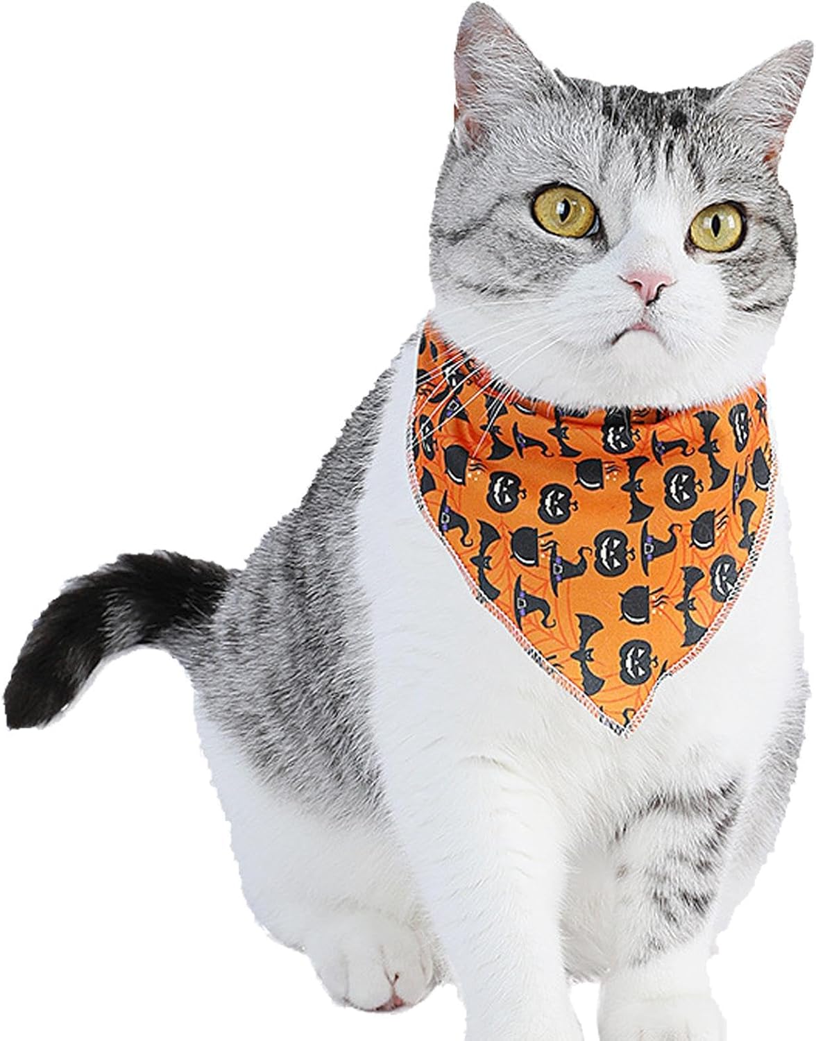 Bandana de Halloween para mascotas