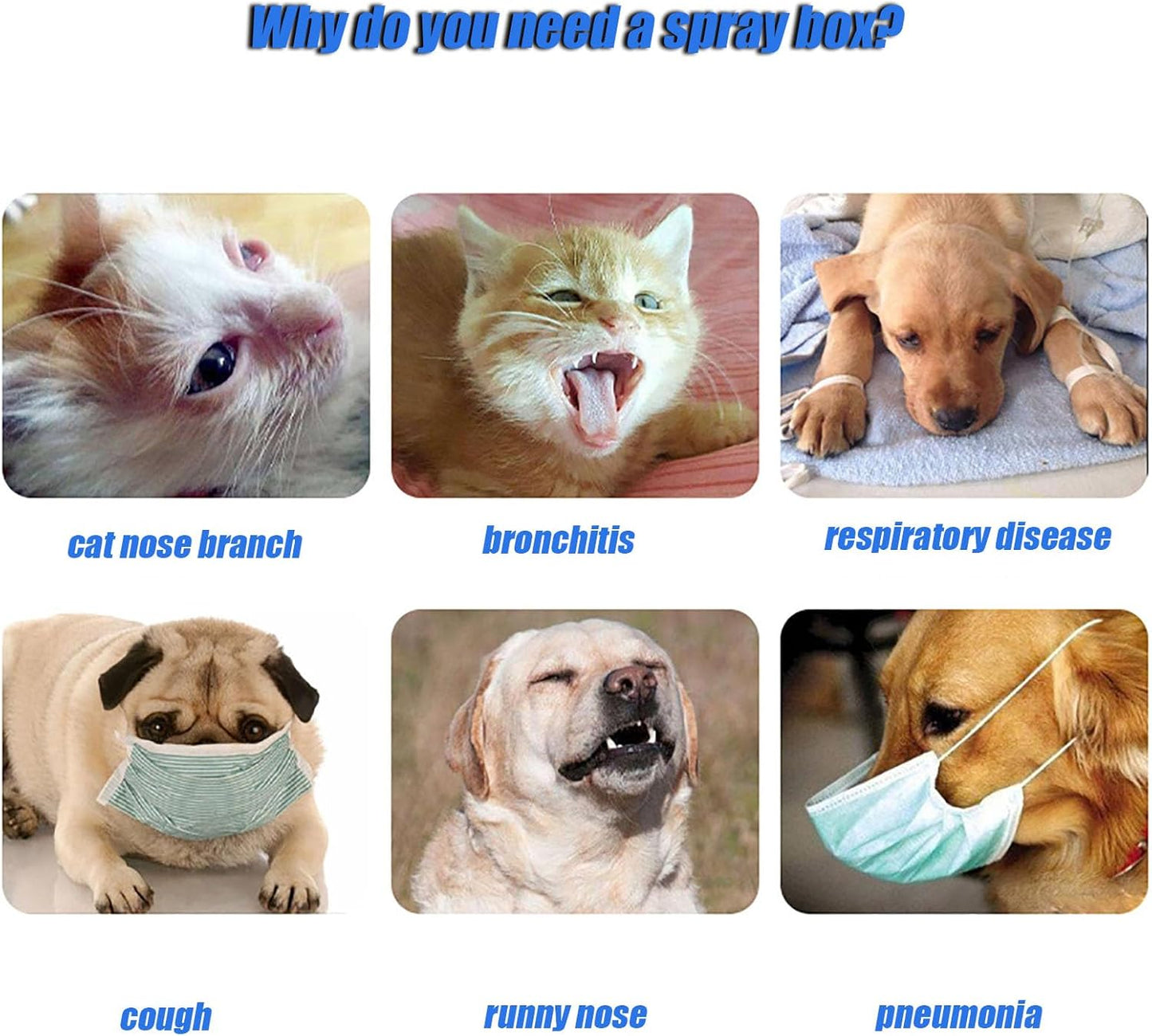 Caja nebulizadora para mascotas