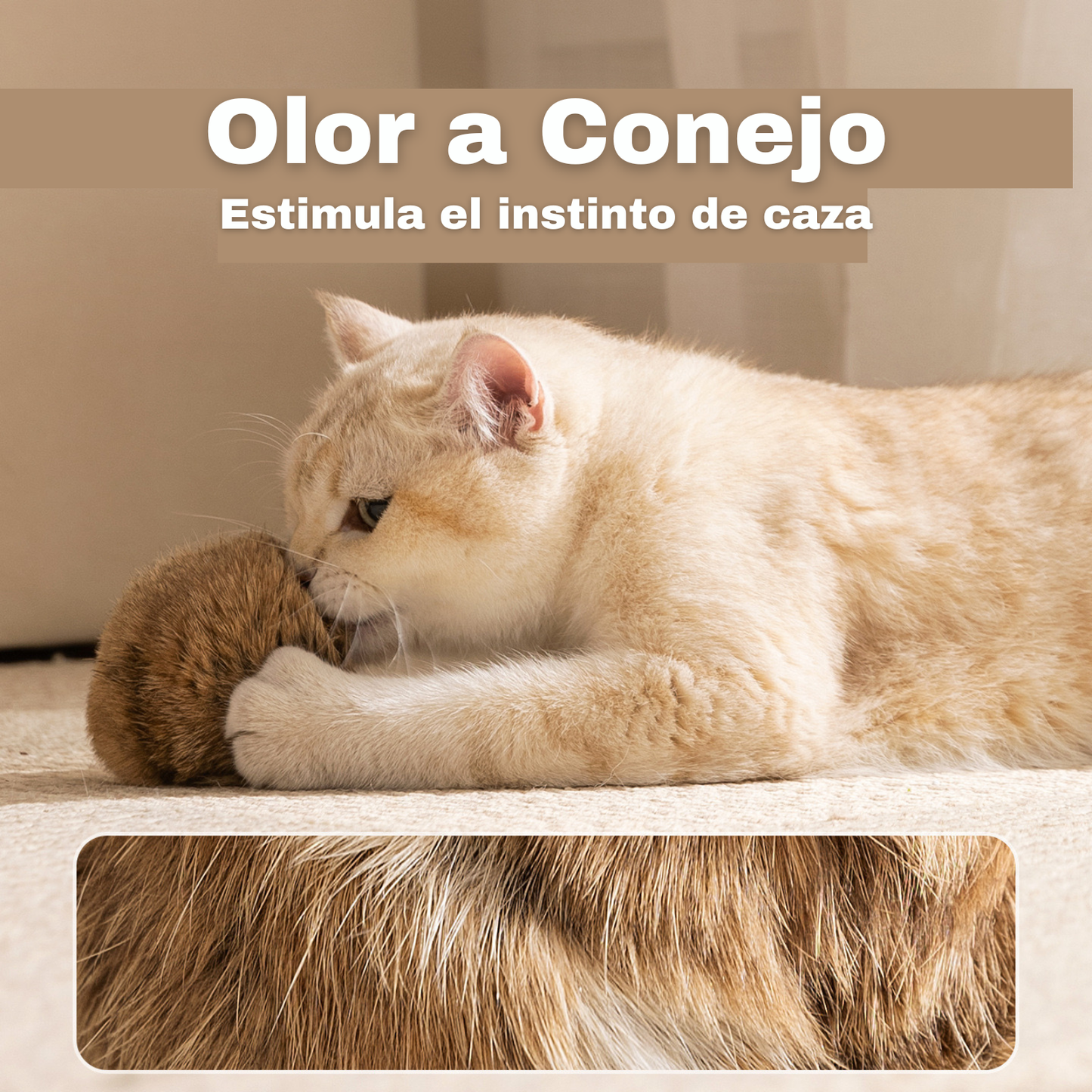 Pelotas para gatos con olor a conejo 6cm/8cm