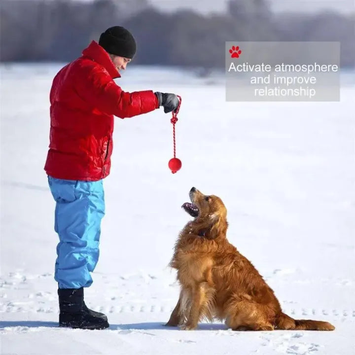 Pelota pequeña resistente para perros