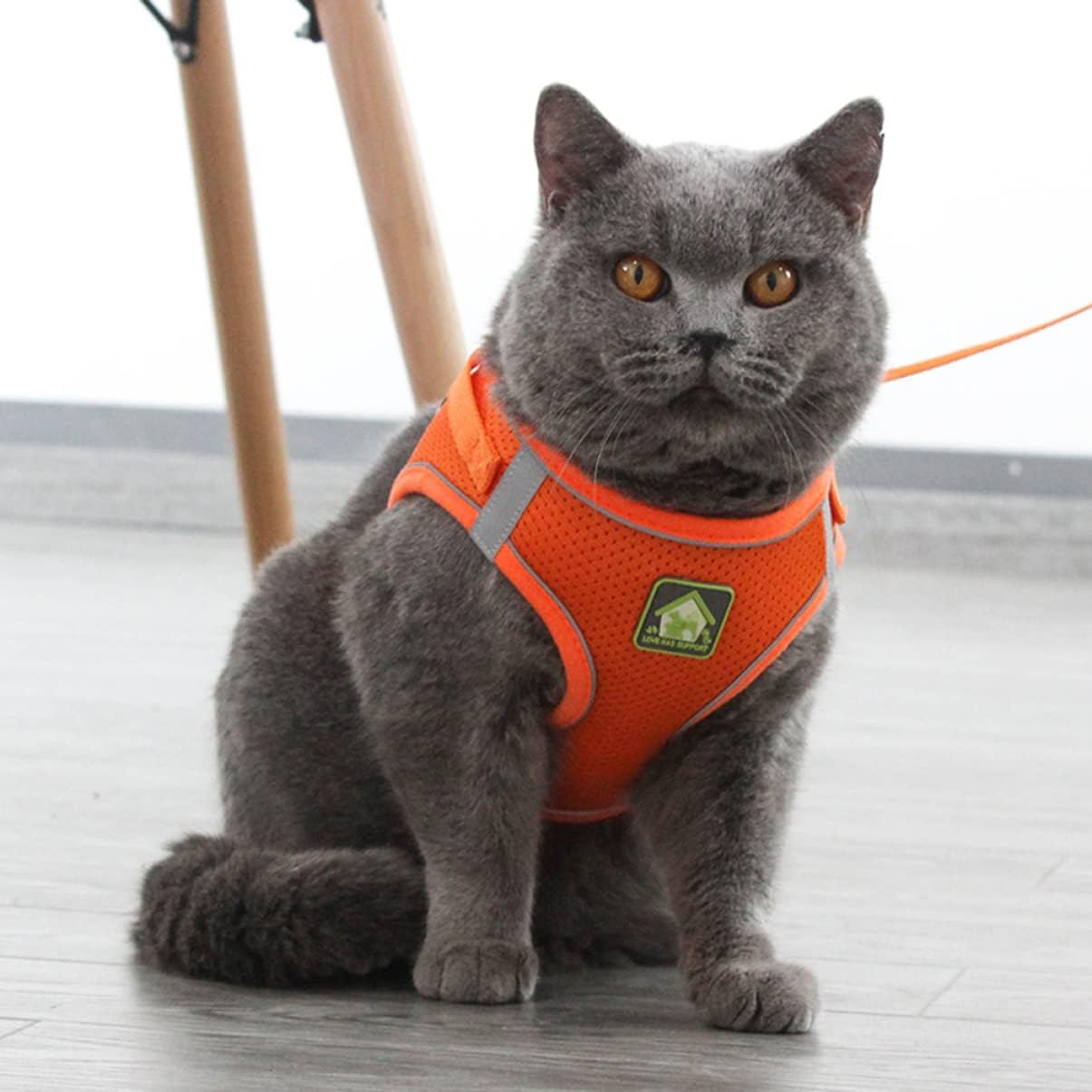 Pechera para gatos reflectante con tela transpirable