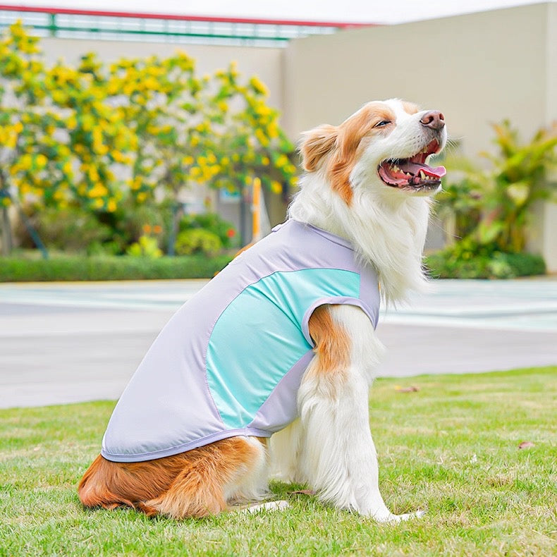 Camisa fresca para mascotas pequeñas, medianas y grandes