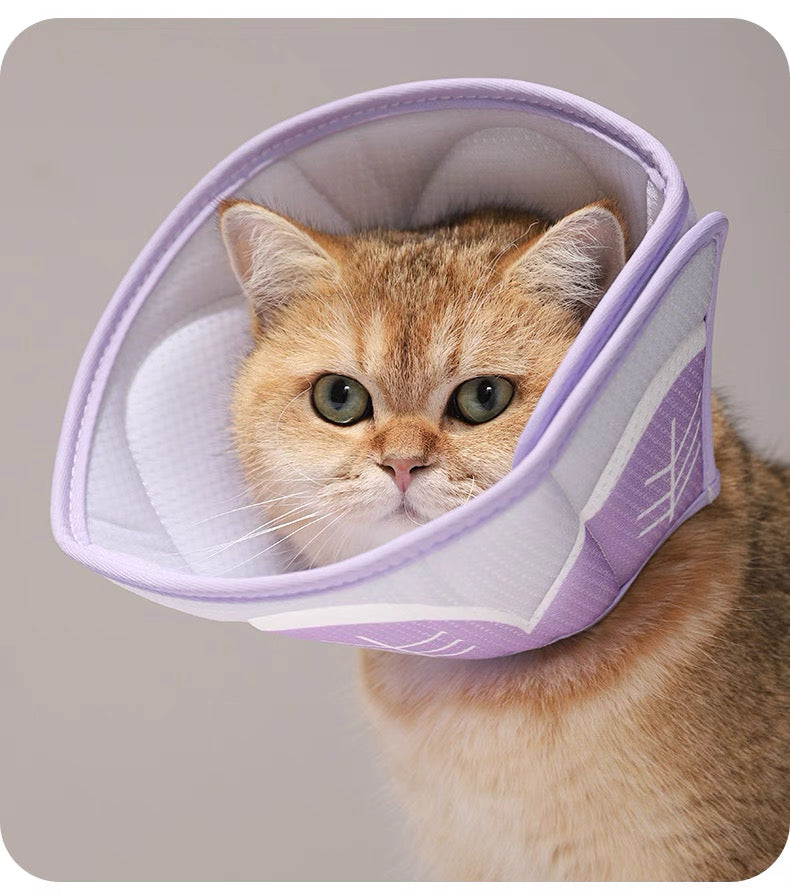 Cono isabelino suave para gatos y perros