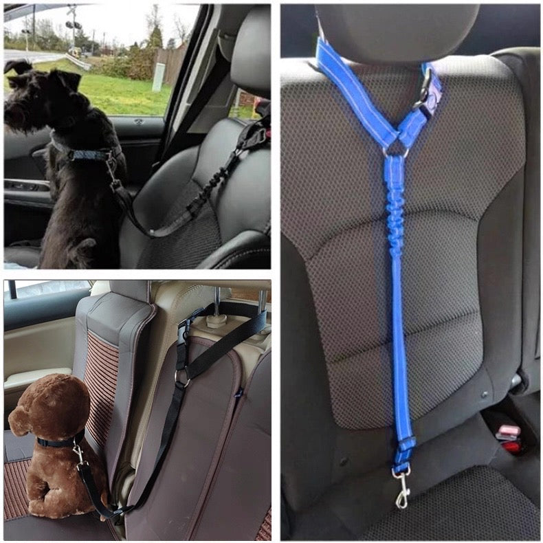 Cinturón de seguridad para mascotas de cabezal