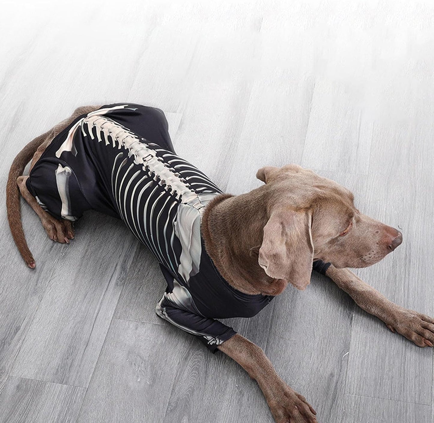 Disfraz de esqueleto para Halloween