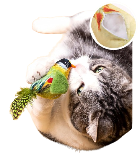 Juguete para gato, pajaro con sonido (variedad de modelos)